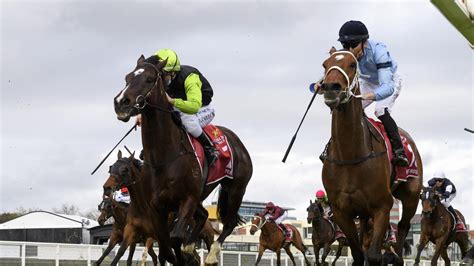 melbourne cup full results.